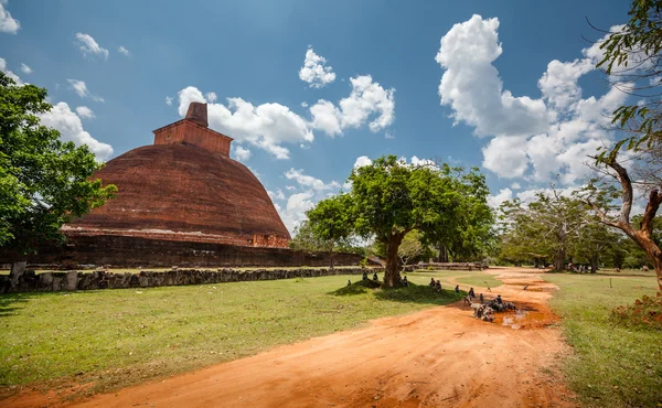 depositphotos_91412558-stock-photo-abhayagiri-major-monastery-site-of (2)